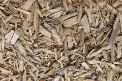 biomass boilers Edgcumbe