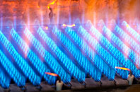 Edgcumbe gas fired boilers
